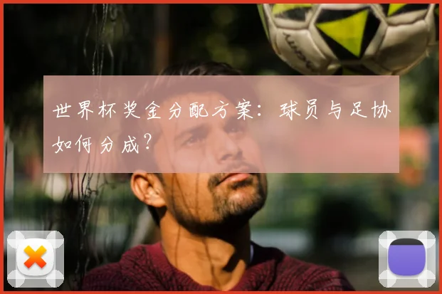 世界杯奖金分配方案:球员与足协如何分成?