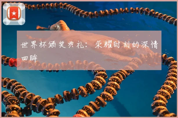 世界杯颁奖典礼:荣耀时刻的深情回眸