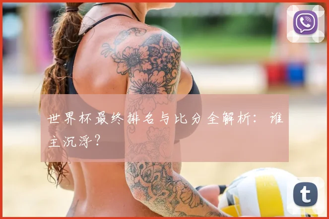 世界杯最终排名与比分全解析:谁主沉浮?