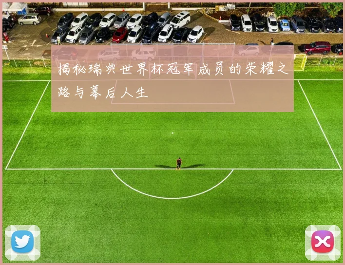揭秘瑞典世界杯冠军成员的荣耀之路与幕后人生