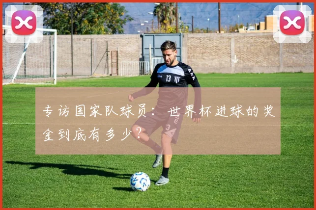 专访国家队球员:世界杯进球的奖金到底有多少?