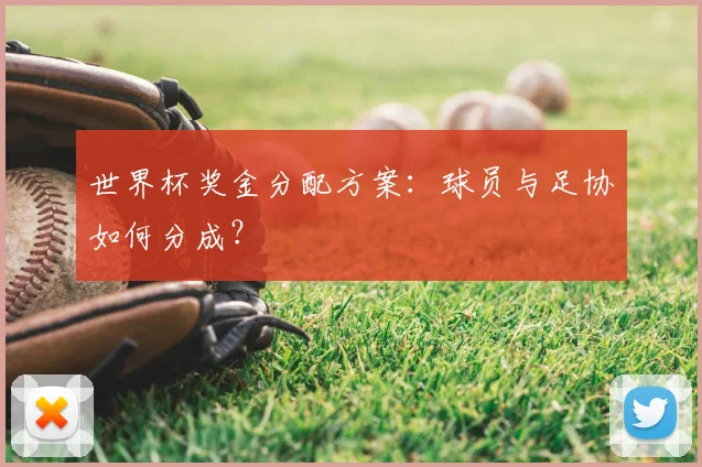 世界杯奖金分配方案:球员与足协如何分成?