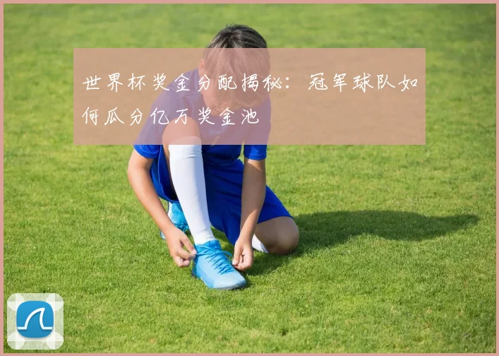 世界杯奖金分配揭秘:冠军球队如何瓜分亿万奖金池