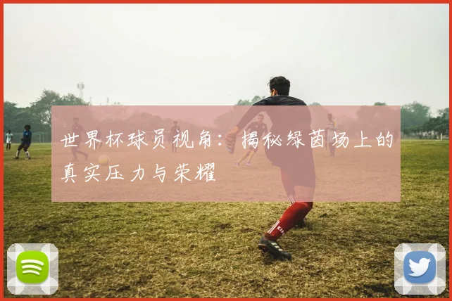世界杯球员视角:揭秘绿茵场上的真实压力与荣耀