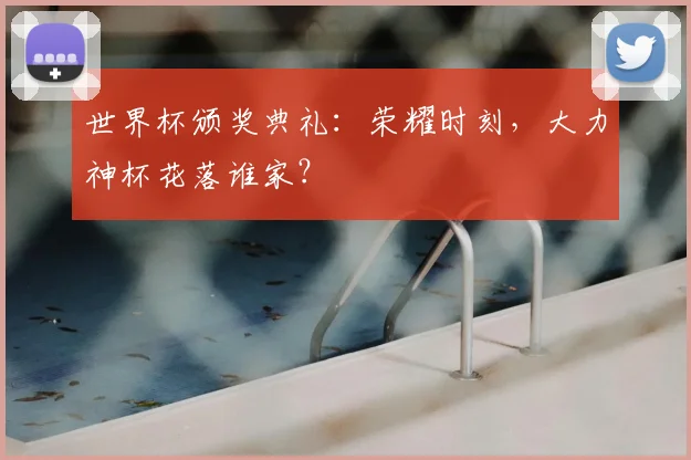 世界杯颁奖典礼:荣耀时刻,大力神杯花落谁家?