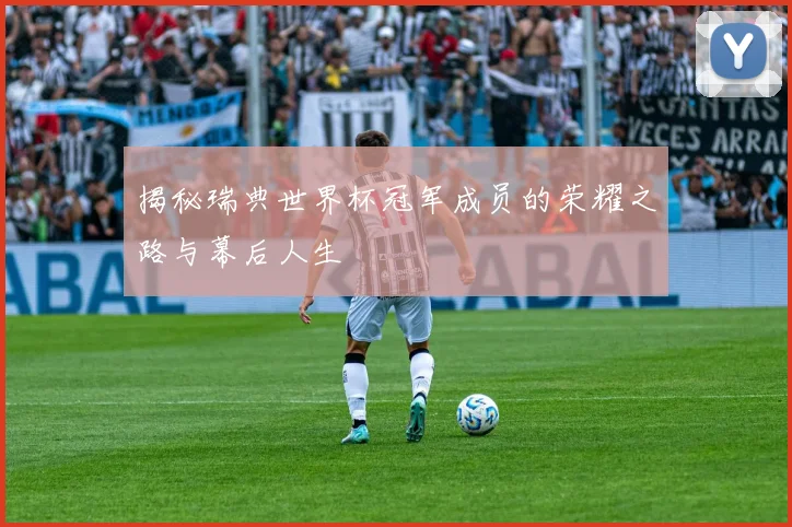 揭秘瑞典世界杯冠军成员的荣耀之路与幕后人生