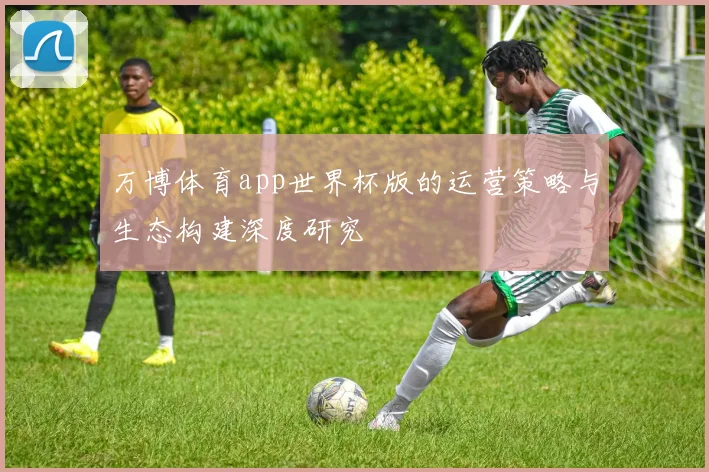 万博体育app世界杯版的运营策略与生态构建深度研究