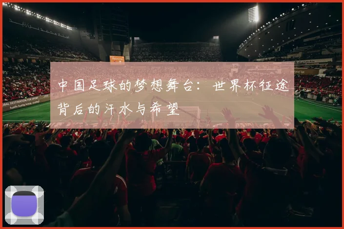 中国足球的梦想舞台：世界杯征途背后的汗水与希望