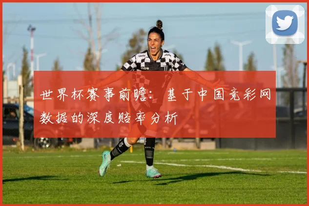世界杯赛事前瞻：基于中国竞彩网数据的深度赔率分析